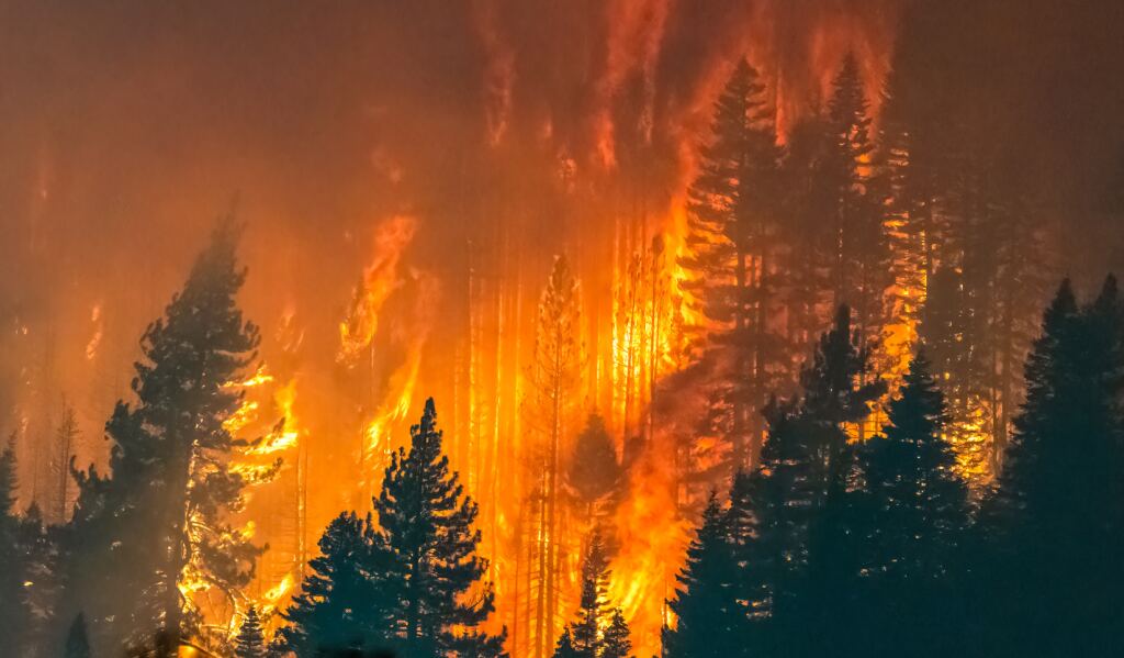 Is Your Generator Ready for Fire Season? How Lake County Homeowners Can Prepare in 10 Minutes