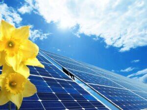 Solar Panel Installation: Is Roof-Mounted or Ground-Mounted Better?